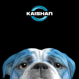 Podcast thumbnail for The Big Dog Podcast