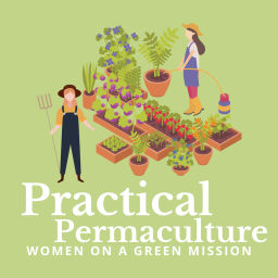 Podcast thumbnail for Practical Permaculture
