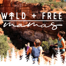 Podcast thumbnail for Wild + Free Mamas