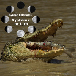 Podcast thumbnail for Lyndon’s Mastery Podcast