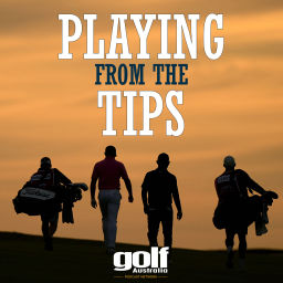 Podcast thumbnail for Playing from the Tips