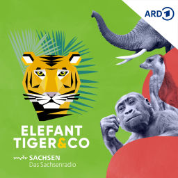 Podcast thumbnail for Elefant, Tiger & Co. - Der Podcast