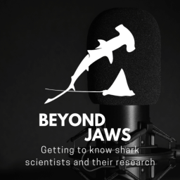 Podcast thumbnail for Beyond Jaws: Exploring Shark Science and Conservation