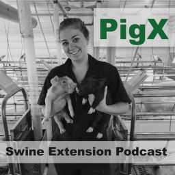 Podcast thumbnail for PigX