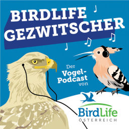 Podcast thumbnail for BirdLife Gezwitscher