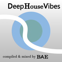 Podcast thumbnail for Deep House Vibes
