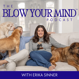 Podcast thumbnail for The Blow Your Mind Podcast