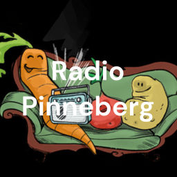 Podcast thumbnail for Radio Pinneberg