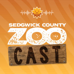 Podcast thumbnail for Sedgwick County ZooCast