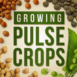 Podcast thumbnail for Growing Pulse Crops