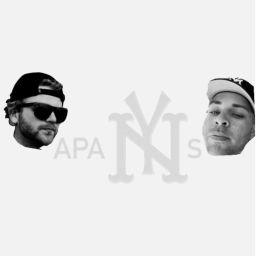 Podcast thumbnail for APANYS