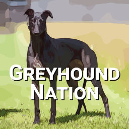 Podcast thumbnail for Greyhound Nation