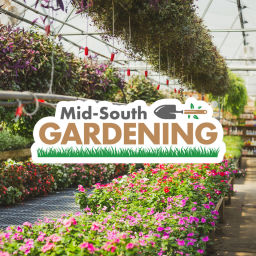 Podcast thumbnail for Mid-South Gardening Podcast