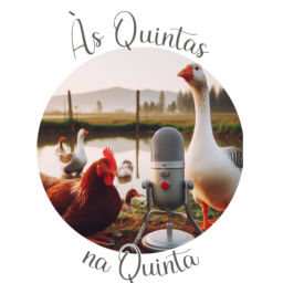 Podcast thumbnail for Às Quintas na Quinta