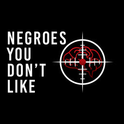 Podcast thumbnail for Negroes You Don't Like