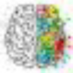 Podcast thumbnail for Minding the Brain