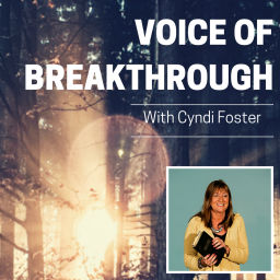 Podcast thumbnail for Voice of Breakthrough with Cyndi Foster