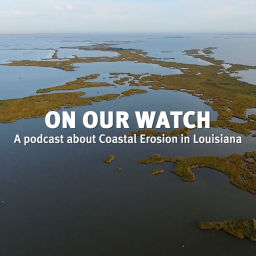 Podcast thumbnail for On Our Watch