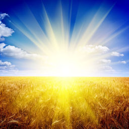 Podcast thumbnail for Heaven on Earth Mini Meditations
