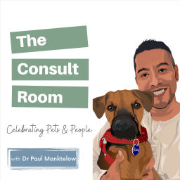 Podcast thumbnail for The Consult Room