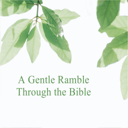 Podcast thumbnail for A Gentle Ramble Through the Bible - Evers Bible Class