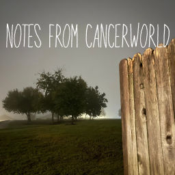 Podcast thumbnail for notes from cancerworld