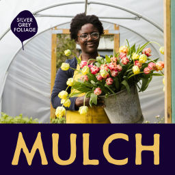 Podcast thumbnail for Mulch