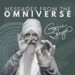 Podcast thumbnail for Messages From The Omniverse