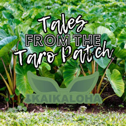 Podcast thumbnail for Tales from the Taro Patch