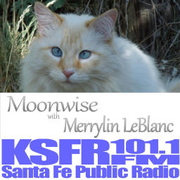 Podcast thumbnail for Moonwise