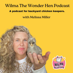 Podcast thumbnail for Wilma The Wonder Hen Podcast