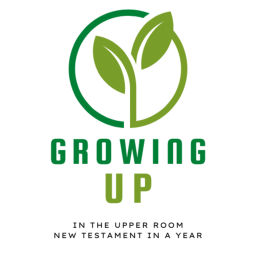 Podcast thumbnail for Growing Up in the Upper Room - New Testament Bible in a year