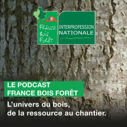 Podcast thumbnail for France Bois Forêt, l'univers du bois, de la ressource au chantier