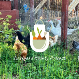 Podcast thumbnail for Backyard Bounty