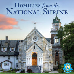 Podcast thumbnail for Homilies from the National Shrine