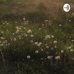 Podcast thumbnail for Proyecto Transversal