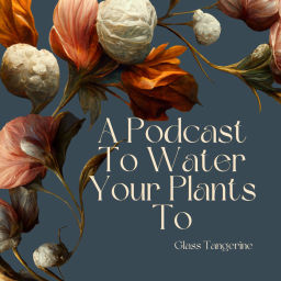 Podcast thumbnail for A Podcast To Water Your Plants To
