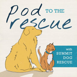 Podcast thumbnail for Pod to the Rescue