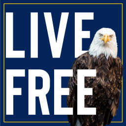 Podcast thumbnail for Merica vs the World
