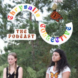 Podcast thumbnail for Chrysalis Collective: The Podcast