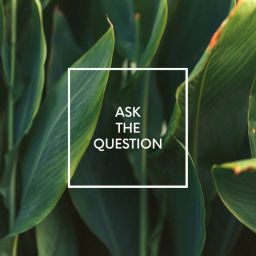 Podcast thumbnail for Ask the Question