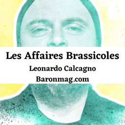 Podcast thumbnail for Les Affaires Brassicoles avec Leonardo Calcagno | Baron Mag
