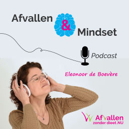 Podcast thumbnail for De Afvallen & Mindset Podcast