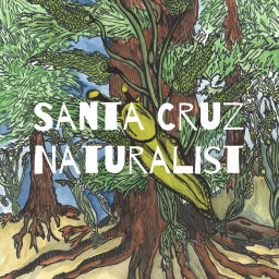 Podcast thumbnail for Santa Cruz Naturalist