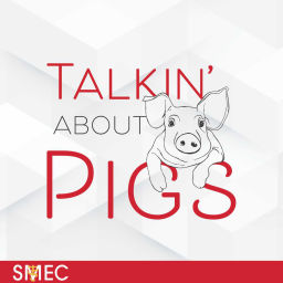 Podcast thumbnail for Talkin' About Pigs