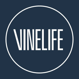 Podcast thumbnail for Vinelife Church Manchester Podcast