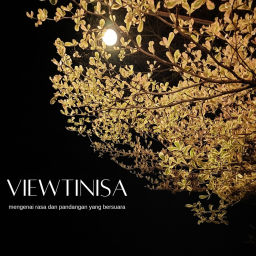 Podcast thumbnail for Viewtinisa