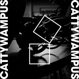 Podcast thumbnail for Cattywampus