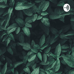 Podcast thumbnail for Maazid Ki Kahani