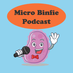 Podcast thumbnail for Micro binfie podcast